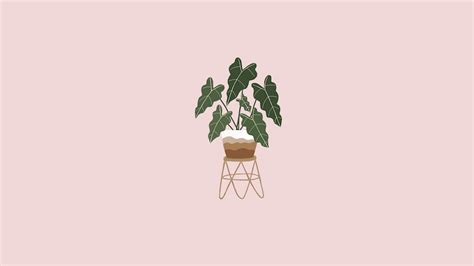 Boho Minimalist Plant Desktop Wallpaper For Mac MacBook Wallpaper