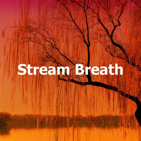 Stream Breath Album By Chinese Relaxation And Meditation Spotify