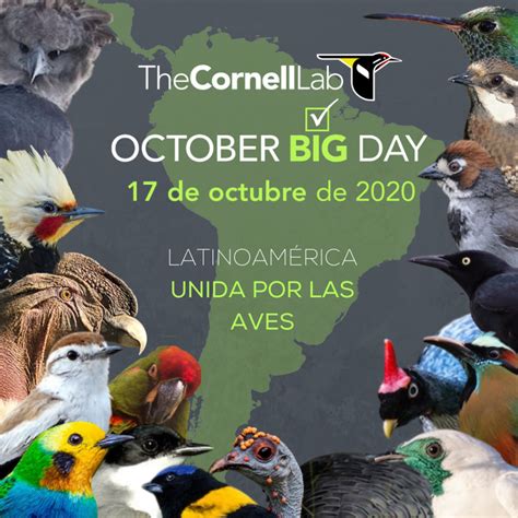 October Big Day 2020 A Global Birding Phenomenon Ebird