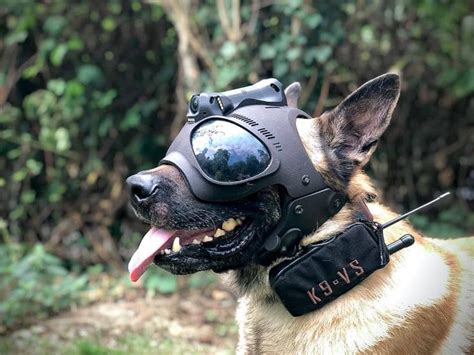 Tactical Dog Gear: Protect Your Canine Companion with Helmitology