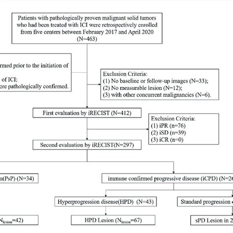 The Radiomics Workflow Including Tumor Segmentation Feature