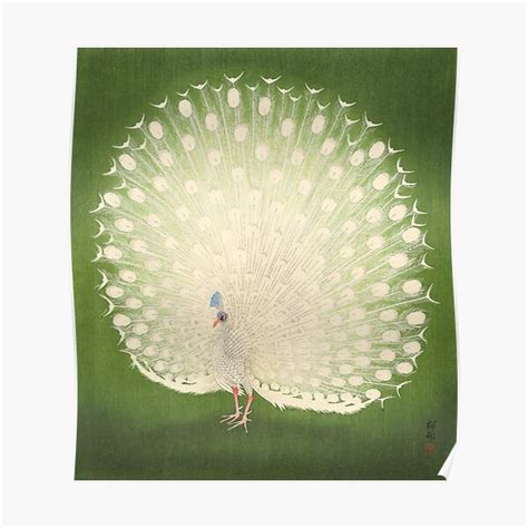 Antique White Peacock Illustration With Brilliant Emerald Background