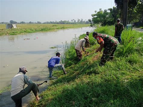 Sub Pebayuran Sektor Citarum Harum Giat Bersih Sungai Irigasi Ss