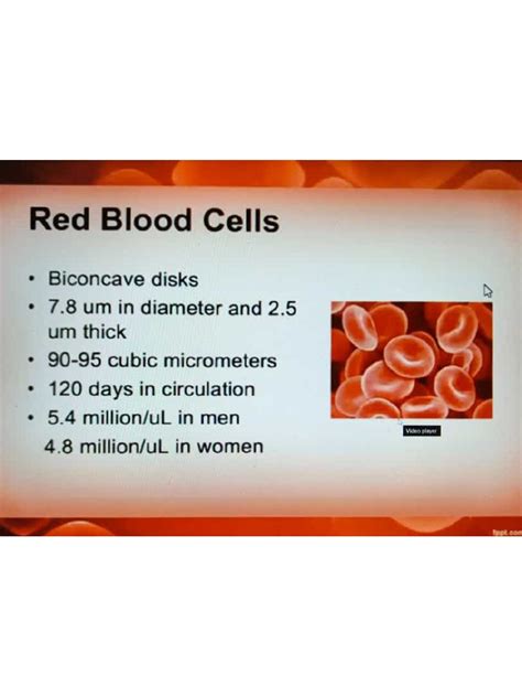 RBC, Anemia and Polycythemia | PDF