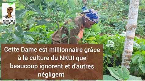 Cette Dame Est Millionnaire Grâce À La Culture Du Nkui Que Beaucoup Ignorent Et Dautres