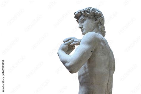 copy of the marble sculpture of David by the great sculptor ...