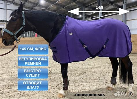 Попона для лошади флисовая horsebrigada новая купить в Москве ...
