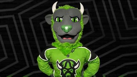 Saskatchewan Rush Choose Rowdy As Name For New Mascot Cbc News