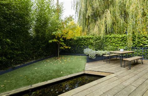 Low Maintenance Garden Ideas Great Gardens Minimum Fuss