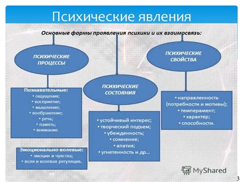 Общий психологический практикум. Часть ii - презентация онлайн