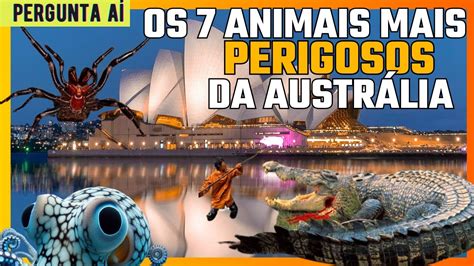 Os 7 animais mais PERIGOSOS da Austrália YouTube