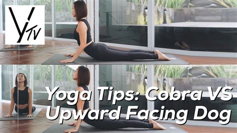 Yoga Lab Tv Yoga Tips Cobra Pose Vs Upward Facing Dog Youtube