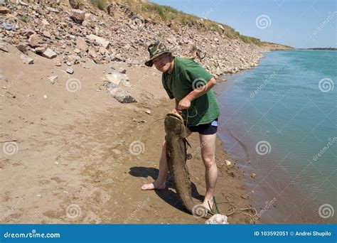 Fisherman With A Big Catfish Stock Image Image Of Reel Bass 103592051