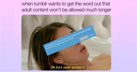 Of The Funniest Posts About Tumblr S Porn Ban
