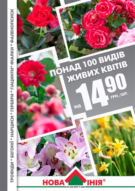Нова Лiнiя — Новости