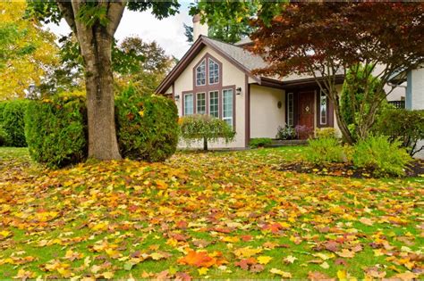 Fall Yard Maintenance Tips For The Homeowner Remarkable Mortgage