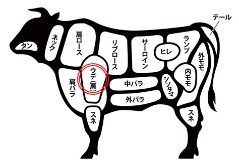 ステーキにおすすめの牛肉部位紹介！焼き方、美味しい食べ方は？｜ふくまるさんぽ