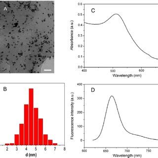 Characterization Of Aunps A Tem Image Of Aunps Scale Bar Is Nm