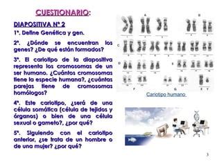 T La Revolucion Genetica Ppt