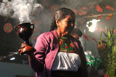 La mejor guía de medicina tradicional mexicana está en este sitio de la