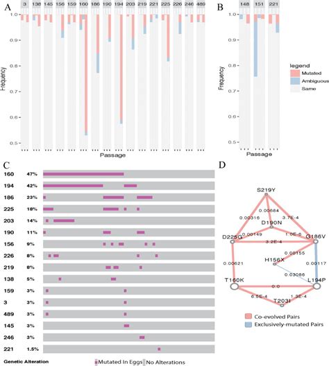 Egg Adaptive Mutation Patterns Of H3n2 Human Influenza A Viruses