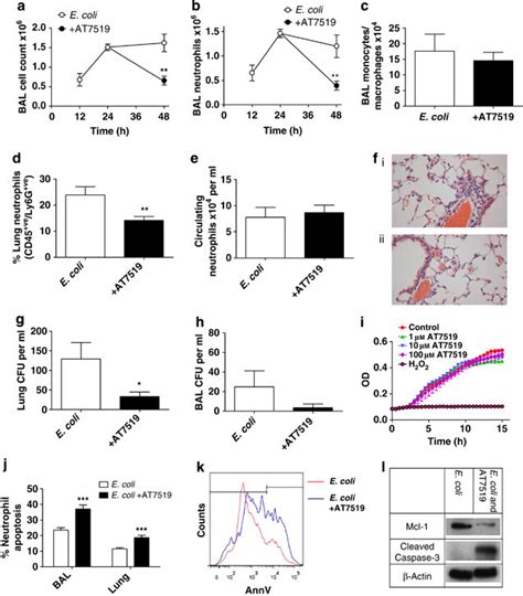 AT7519 Accelerates Resolution Of Established Escherichia Coli Induced