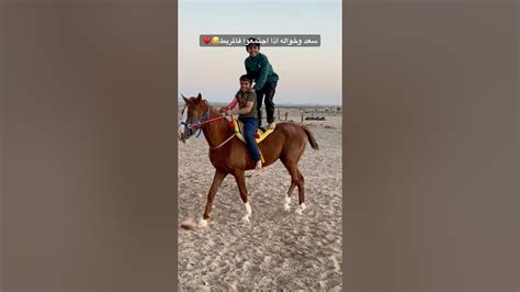 سعد واخواله اذا اجتمعوا فالمربط😂 اكسبلور خيل سعدالخيالالصغير