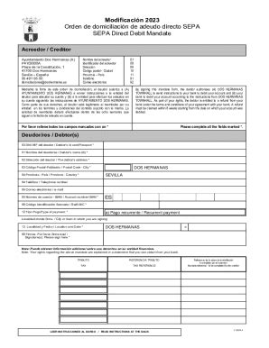 Completable En línea rdenes en Formato ISO 20022 para Emisin de Adeudos