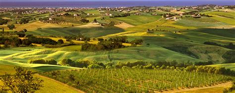 The Strada Dei Vini E Dei Sapori Dei Colli Di Rimini Consortium Visit