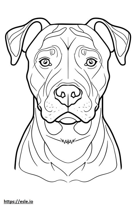 American Pit Bull Terrier Face Coloring Page