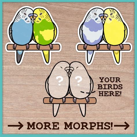 Custom Budgie Pair Stickers Etsy