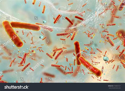 672 Biofilm Infection Images Stock Photos And Vectors Shutterstock
