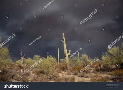 72 North American Monsoon Images, Stock Photos & Vectors | Shutterstock