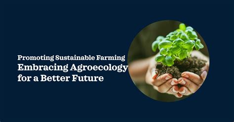 Understanding Agroecology Principles And Practices Agritech Blogs