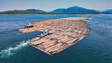 Five Tugboats Escort Mega Log Boom To Prince Ruperts Shore Dji Mini