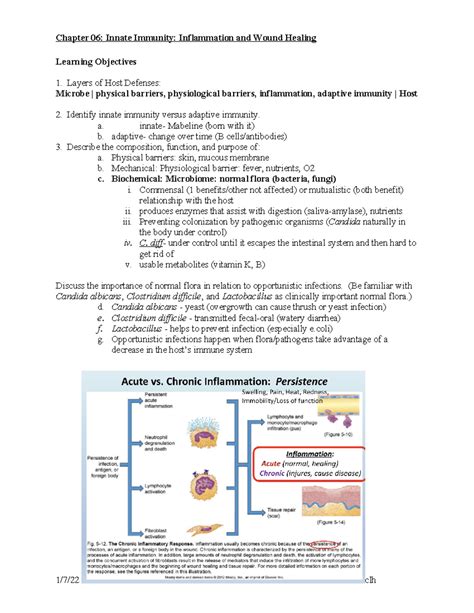 Patho Ch Inflammation And Wound Healing Learning Objectives Layers