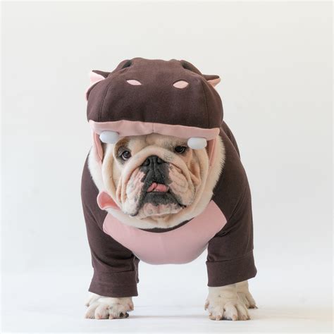 hippo dog costume