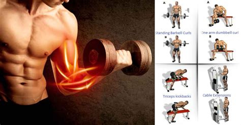 The Best Bulging Bigger Biceps Workout To Grow Your Arms Gymguider