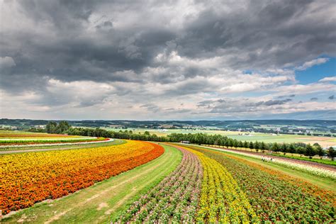 Flower Land Kamifurano - Hokkaido Guide