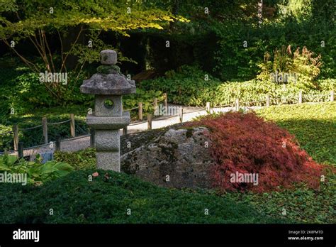 Acer Palmatum Dissectum N Japanese Garden In Augsburg Botanical