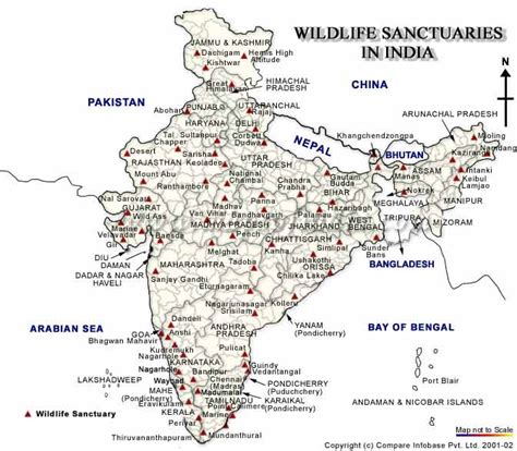 List Of Wild Life Sanctuaries In India Deivam P Mohanraj