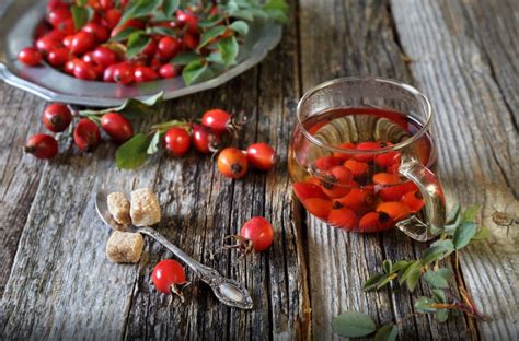 Koha për Tonik Dhe Vaj Trëndafili të Egër - AgroWeb