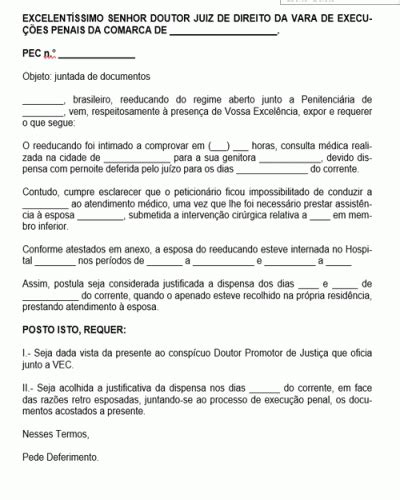 Referência para Petição Pedido Juntada de Documentos Execução Penal