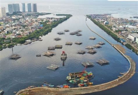 Pembangunan Tanggul Pantai Di Muara Baru Untuk Perbaiki Lingkungan