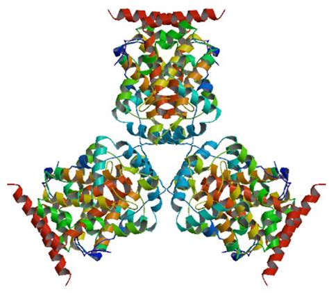 Enzyme Activity Measurement for Acid Phosphatase