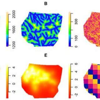 A Spatial Covariate Describing Elevation In Meters Above Sea Level B