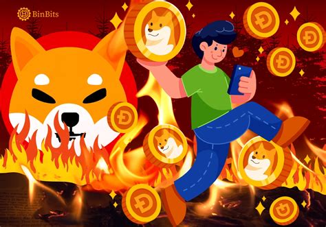 Shiba Inu Coin Burn Burning All You Need To Know BinBits