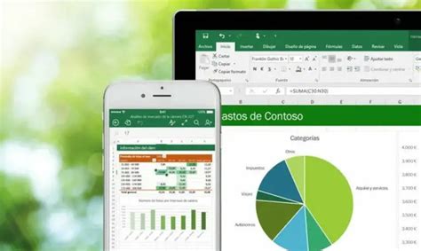 15 Livros de Excel Grátis PDF InfoLivros org