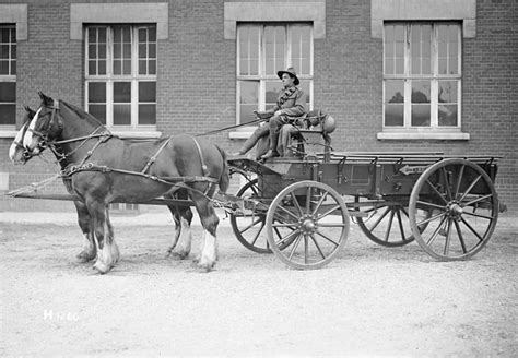 Horse And Buggy The Primary Means Of Transportation In The 19th