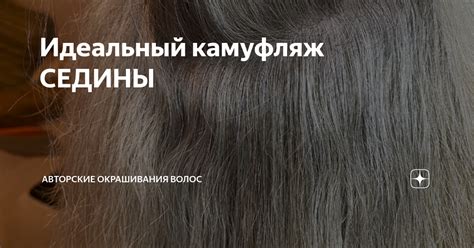 Идеальный камуфляж СЕДИНЫ | Танцы, волосы и много смеха | Дзен